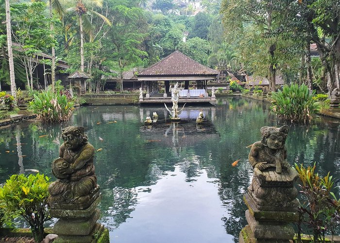 Tegallalang (Bali) photo