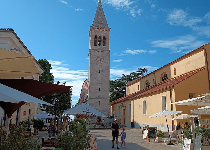 Novigrad (Istria) photo