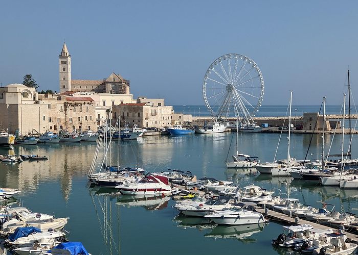 Trani photo