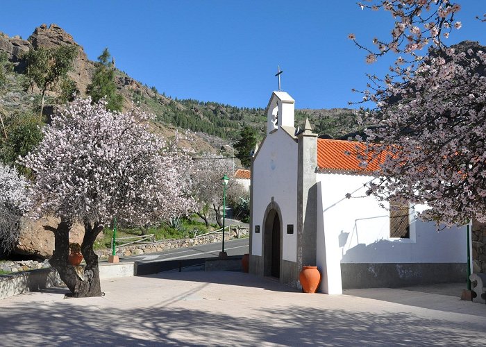 Vecindario (Gran Canaria) photo