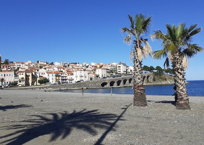 Banyuls-sur-Mer photo