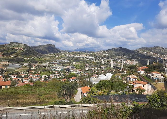 Bordighera photo