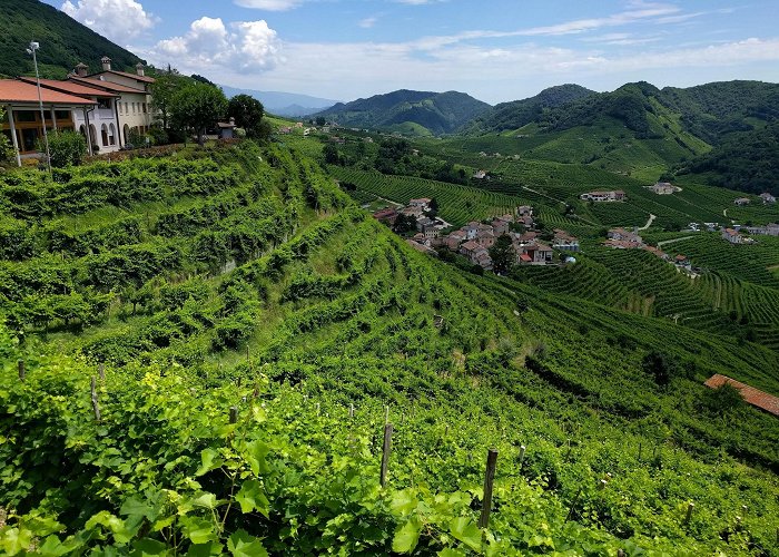 Valdobbiadene photo