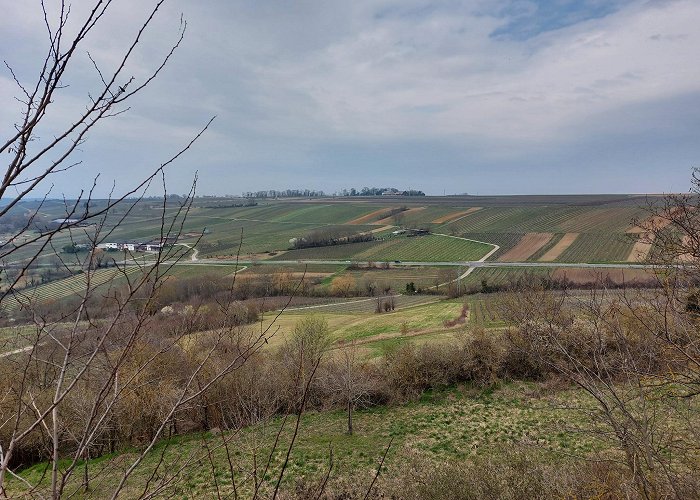 Schwabenheim an der Selz photo