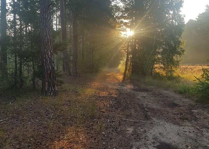 Borkheide photo