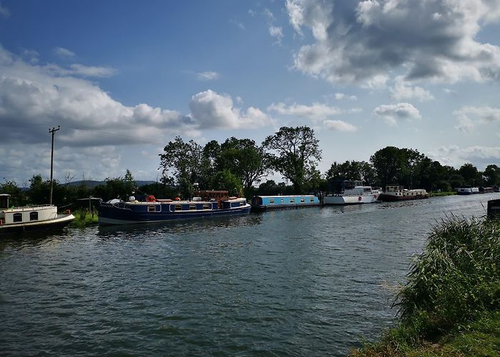 Slimbridge photo