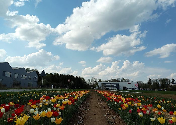 Hohenkirchen-Siegertsbrunn photo