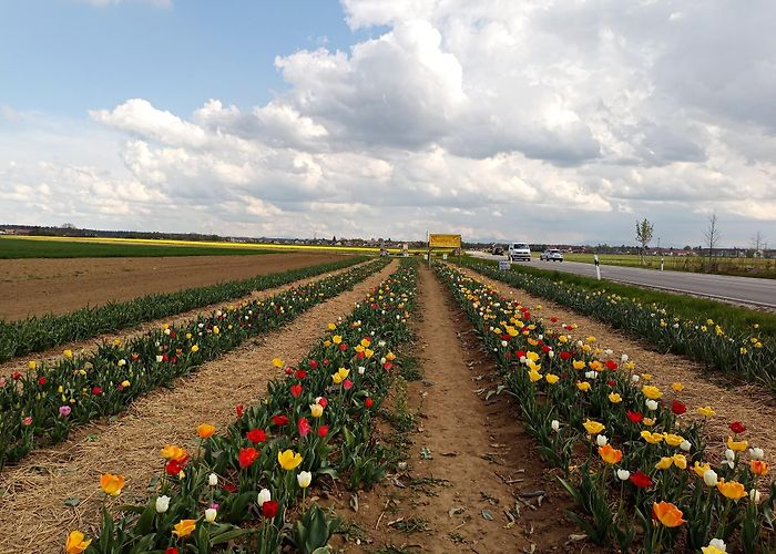 Hohenkirchen-Siegertsbrunn photo