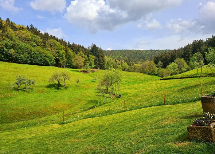 Waldbrunn (Baden-Wurttemberg) photo