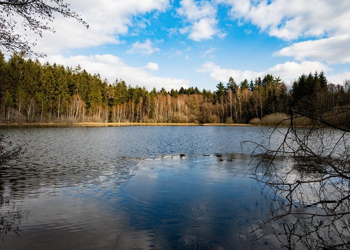 Waldbrunn (Baden-Wurttemberg) photo