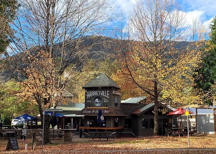 Harrietville photo