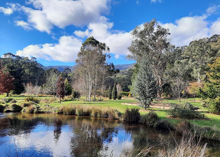 Harrietville photo