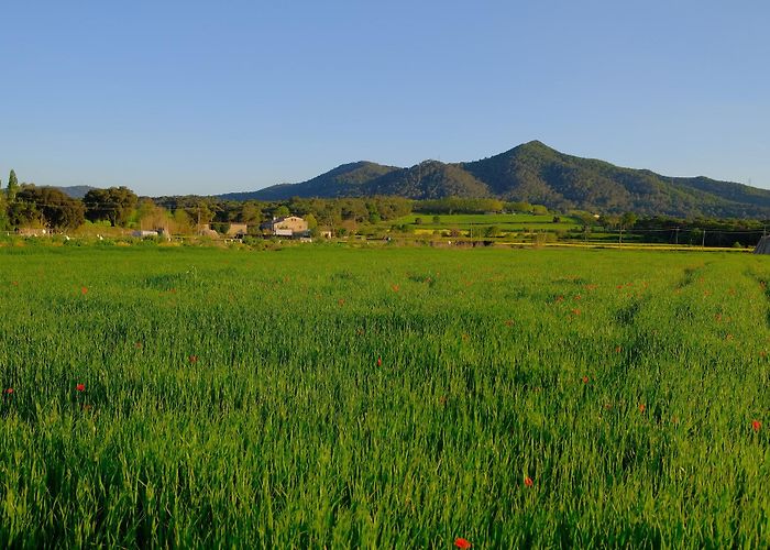 Montornes Del Valles photo