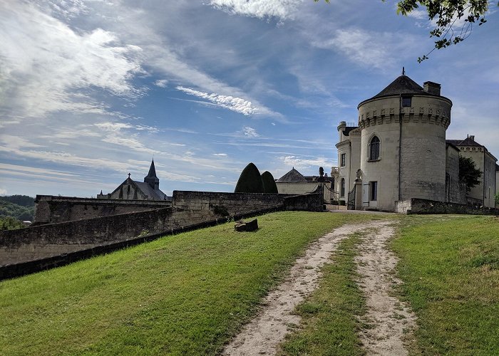 Candes-Saint-Martin photo