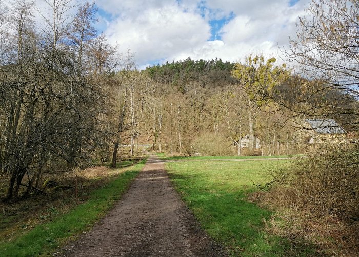 Dossenheim-sur-Zinsel photo