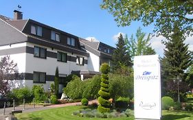 Dreispitz -B&B-Hotel Garni Hofheim am Taunus Exterior photo