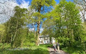 Blackhill Woods Retreat Abbeyleix Exterior photo