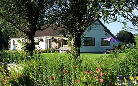 Bed and Breakfast Moher House Westport Exterior photo