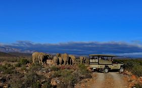 Sanbona Wildlife Reserve Barrydale Exterior photo