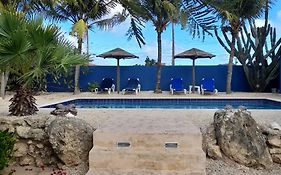 Caribbean Chillout Apartments Kralendijk na wyspie Bonaire Exterior photo