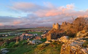 Y Branwen Restaurant & Rooms - Adult Only And Dog Friendly Harlech Exterior photo