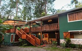 Hotel Boutique The Green Jungle House Puerto Viejo de Talamanca Exterior photo