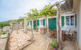 Willa Dalmatian Stone House Rogoznica  Exterior photo