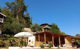 Hotel Olympos Angels Garden Kumluca Exterior photo