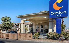 Comfort Inn Bishop Exterior photo