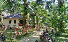 Khao Sok Palm Garden Resort Khao Sok National Park Exterior photo