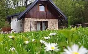 La Luna Delle Montagne Charme & Spa Chalet Tarvisio Exterior photo