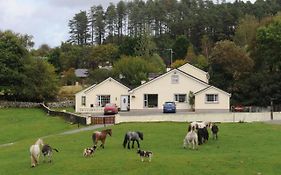 Muckross Riding Stables Killarney Exterior photo