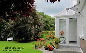 Conways B&B Claremorris Exterior photo