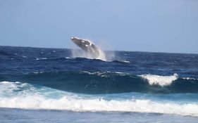 Bed and Breakfast Tifaifai Et Cafe Huahine Fare Exterior photo