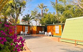 Camping Las Palmeras Crevillente Exterior photo