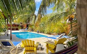 Oasis Guesthouse, Boutique Style Hotel Kralendijk na wyspie Bonaire Exterior photo