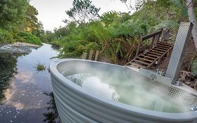 The Fernery Lodge & Spa Stormsrivier Exterior photo