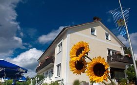 Hotel Landgasthof Am Sonnenhang Vohenstrauss Exterior photo