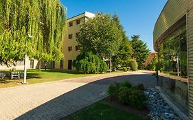 Hotel Castello Artemide Congressi Castel San Pietro Terme Exterior photo