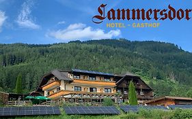 Hotel-Gasthof Lammersdorf Millstatt am See Exterior photo