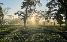 Hotel The Postcard In The Durrung Tea Estate, Assam Tezpur Exterior photo