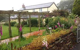 Barton Gate Farm B&B Bude Exterior photo