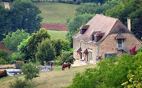 Bed and Breakfast Le Domaine Du Cerneau Nailhac Exterior photo