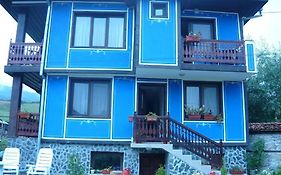 Guest House Edelweiss Kopriwsztica Exterior photo