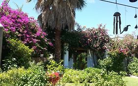 Villa Reinet Guest House Graaff-Reinet Exterior photo