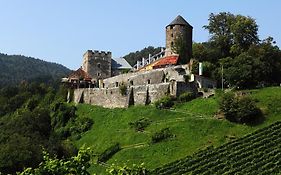 Hotel Burg Deutschlandsberg Exterior photo