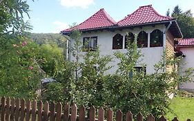 Hotel Pensiunea Letitia Suczawica Exterior photo