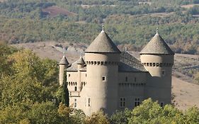 Chateau De Lugagnac Rivière-sur-Tarn Exterior photo