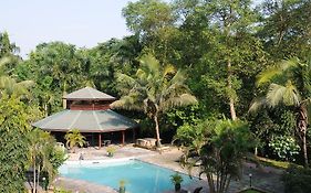 Safari Adventure Lodge Sauraha Exterior photo