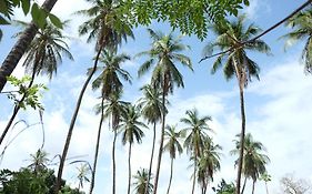 Pensjonat Centre Touristique Et Culturel Casamance Diakene Ouolof Exterior photo